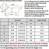 KUTKUT Adjustable, Reflective Harness and Leash No Pull/No Choke, Breathable,for Small Puppy - kutkutstyle